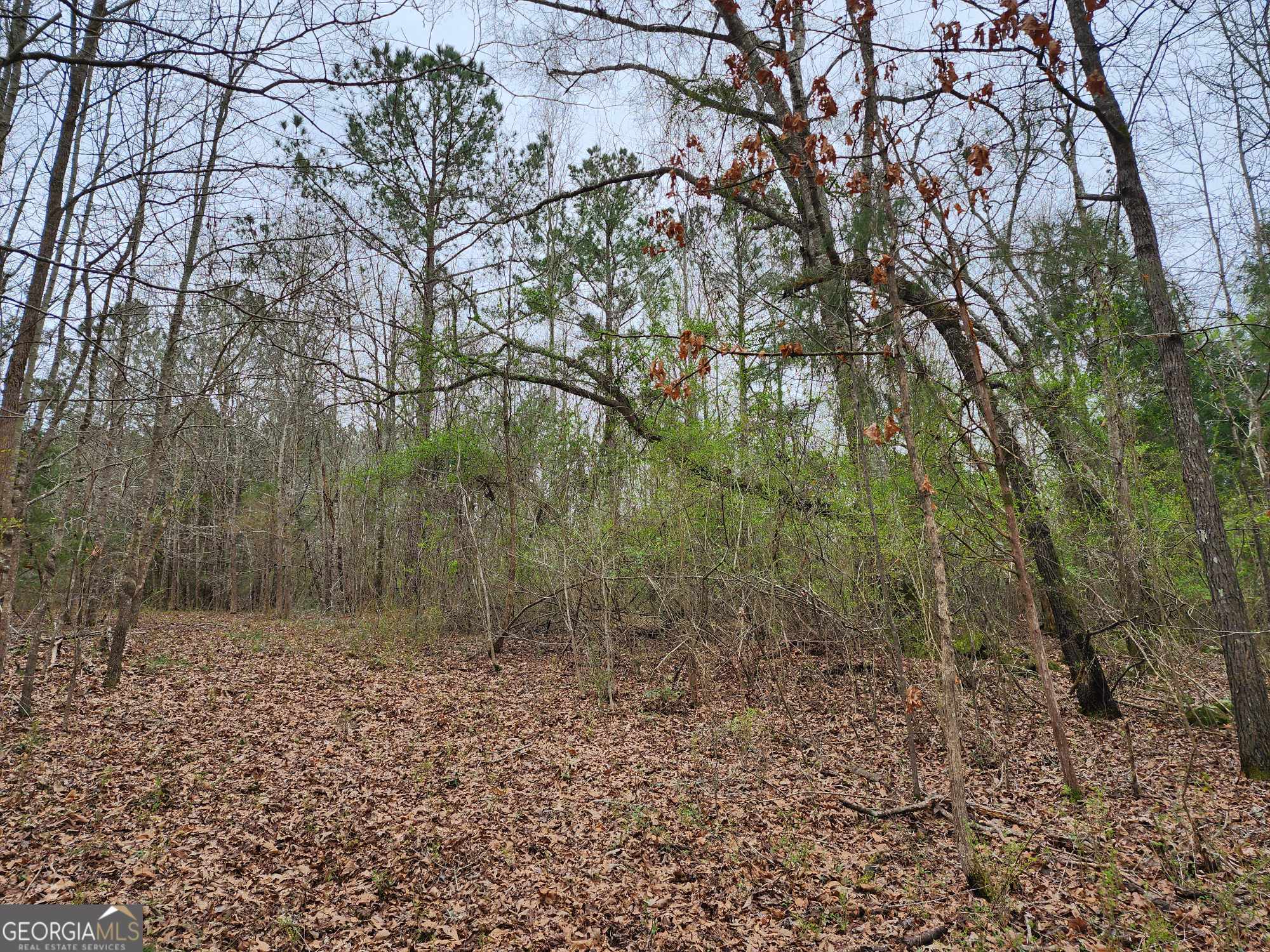 Lot 17 Smith Road Property Photo