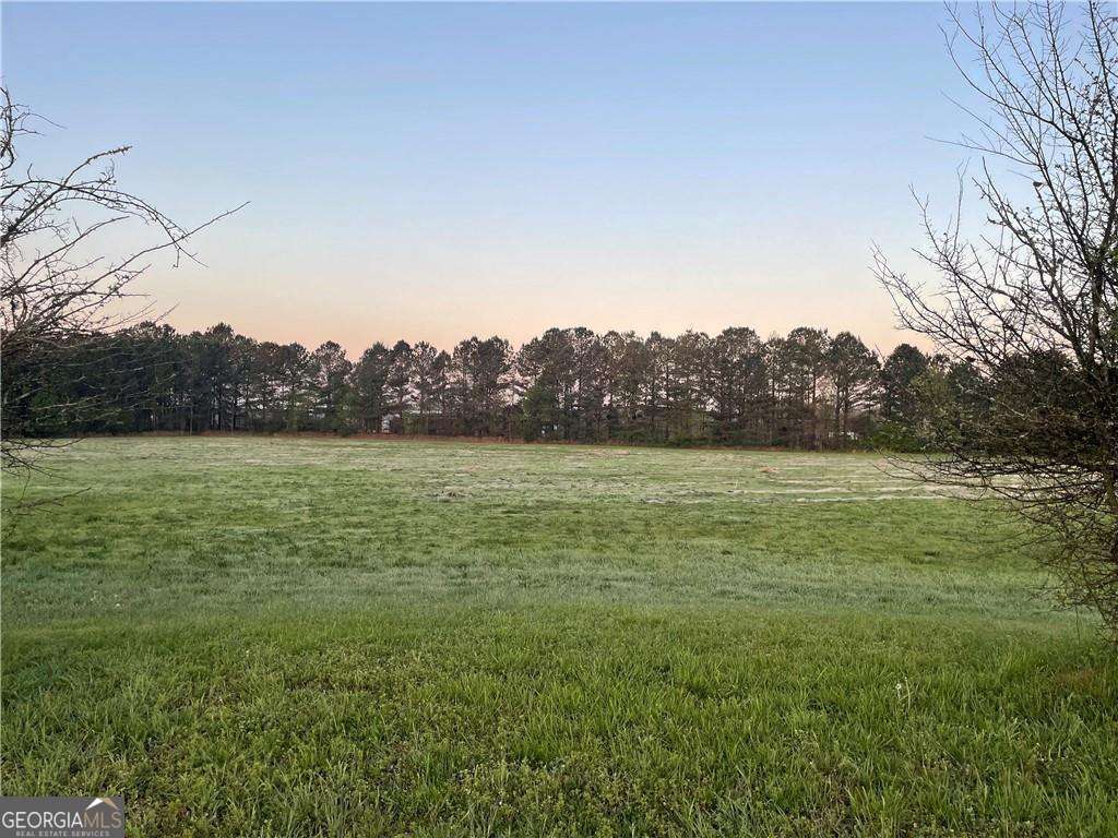52 Curtis Court Sw Property Photo 3