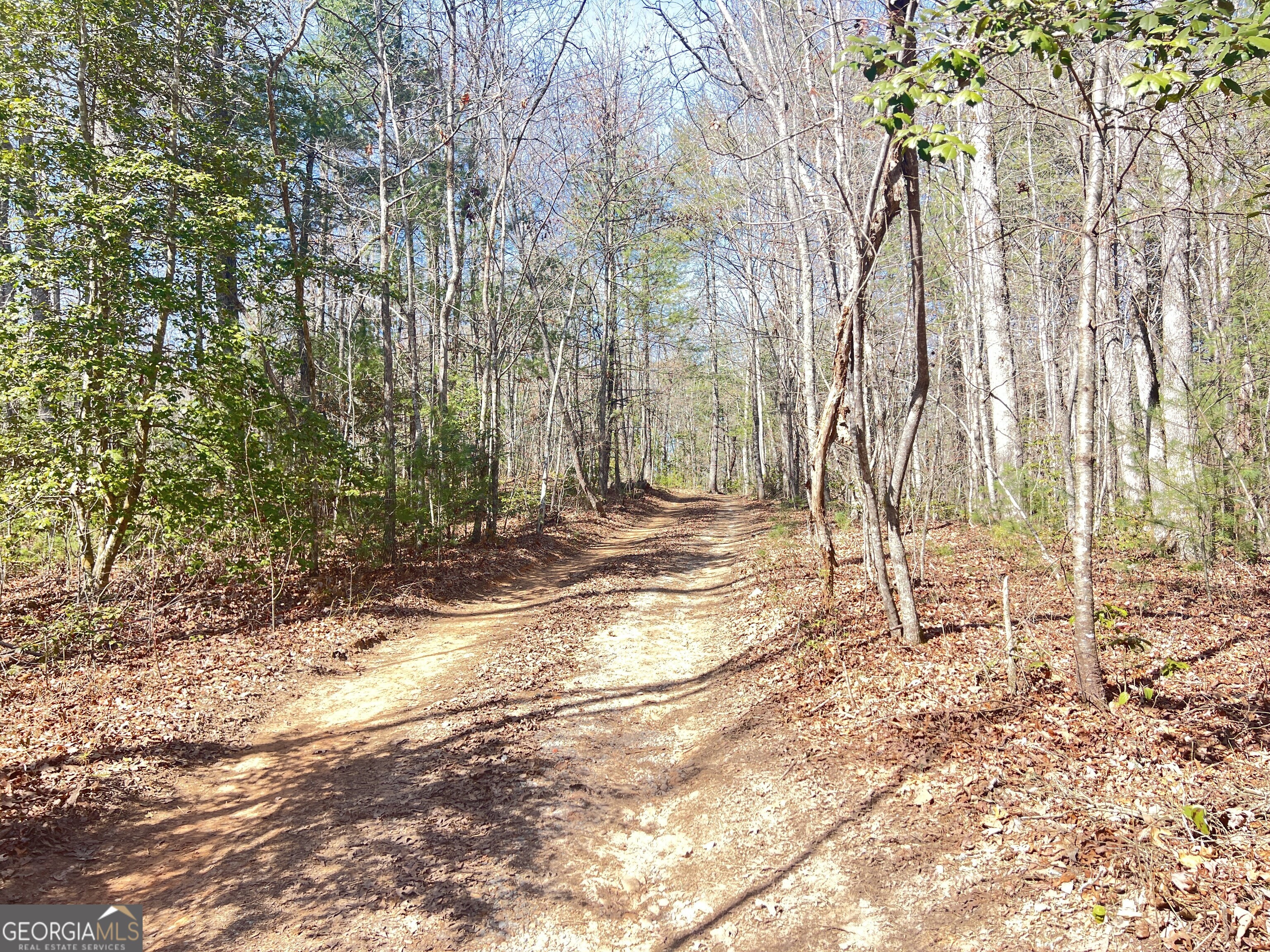 0 Ponderosa Drive Property Photo