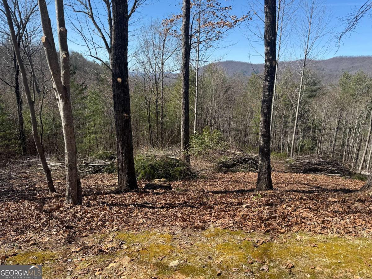 Lot 56 Fires Creek Cove Road Property Photo