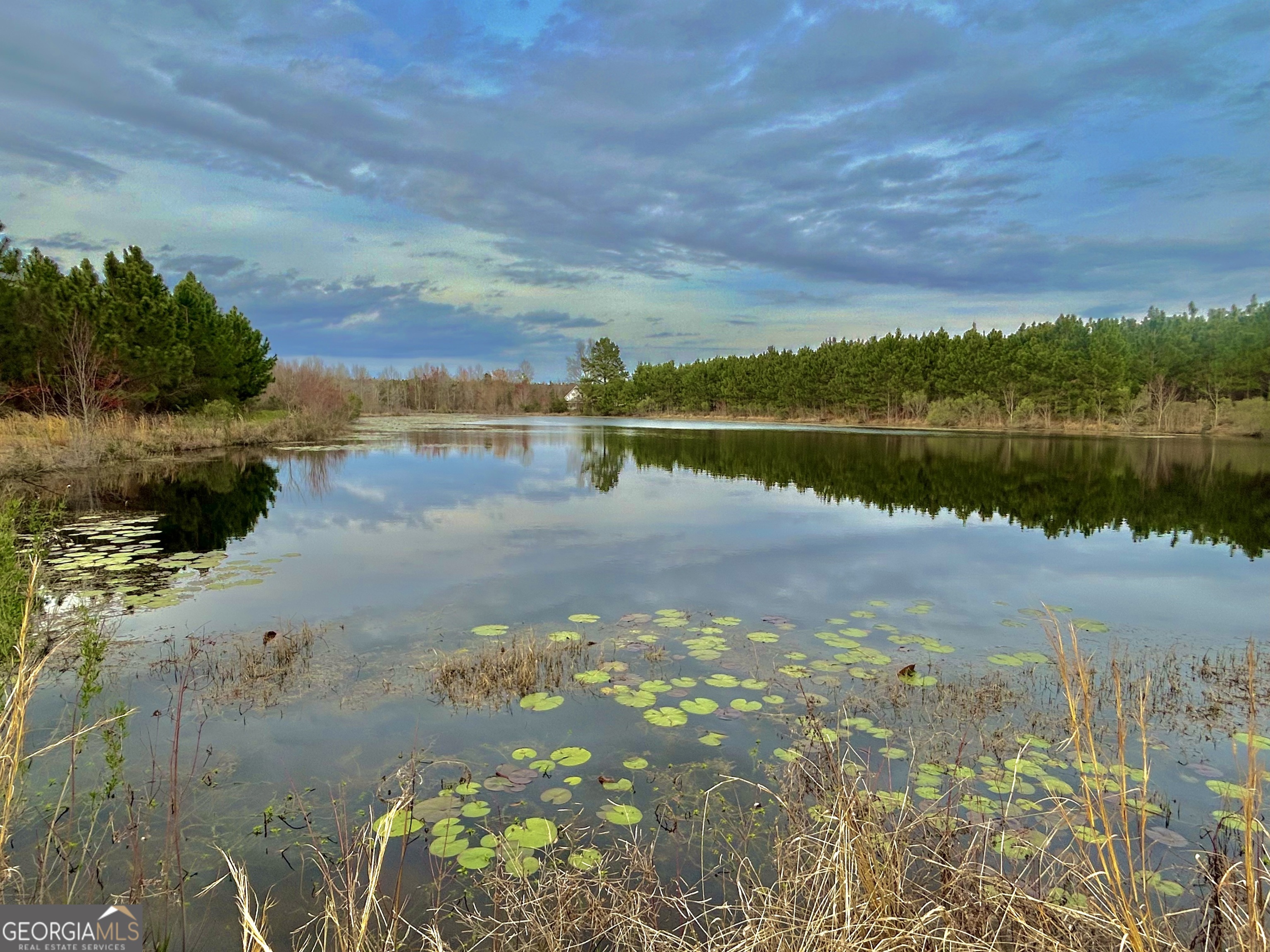 668 Ten Mile Road Property Photo 1