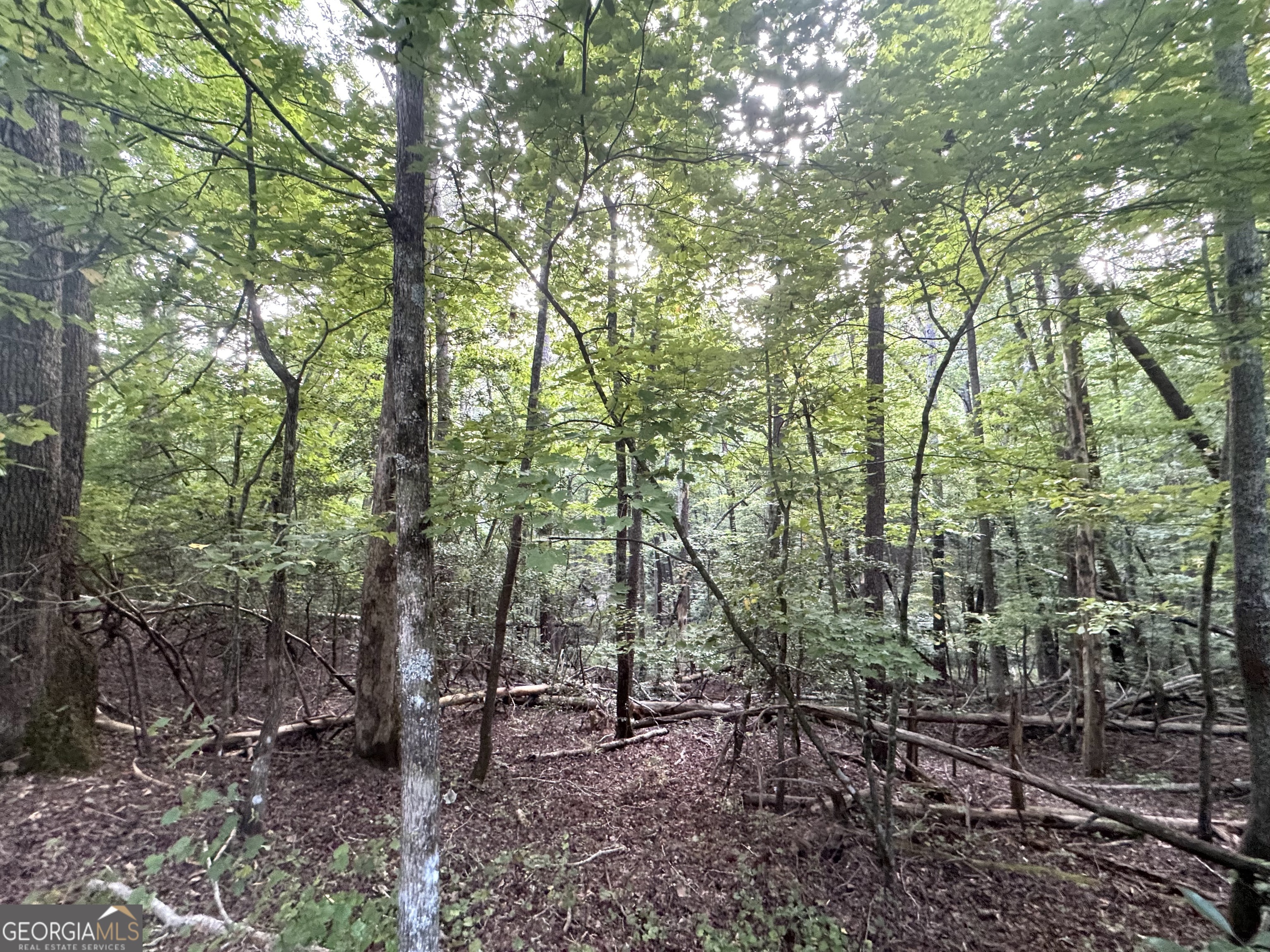 0 Sautee Trail Property Photo