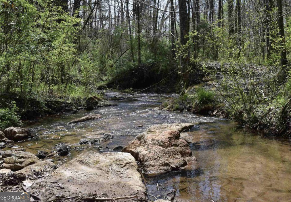 0 Highway 17 Property Photo