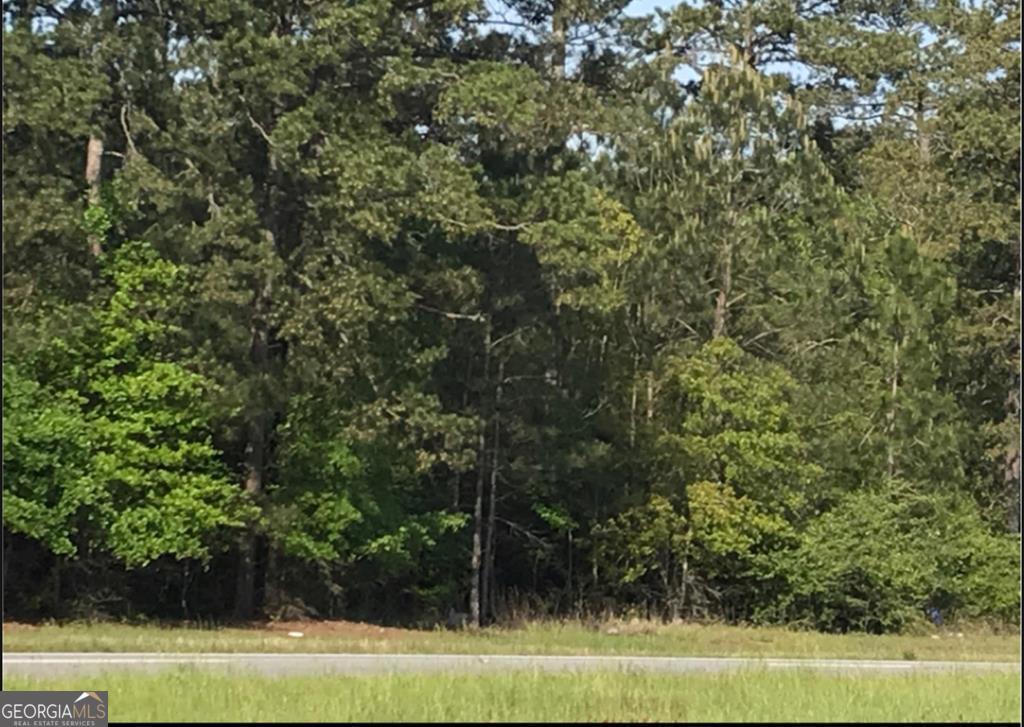 Lot 17 Hwy 82 Property Photo
