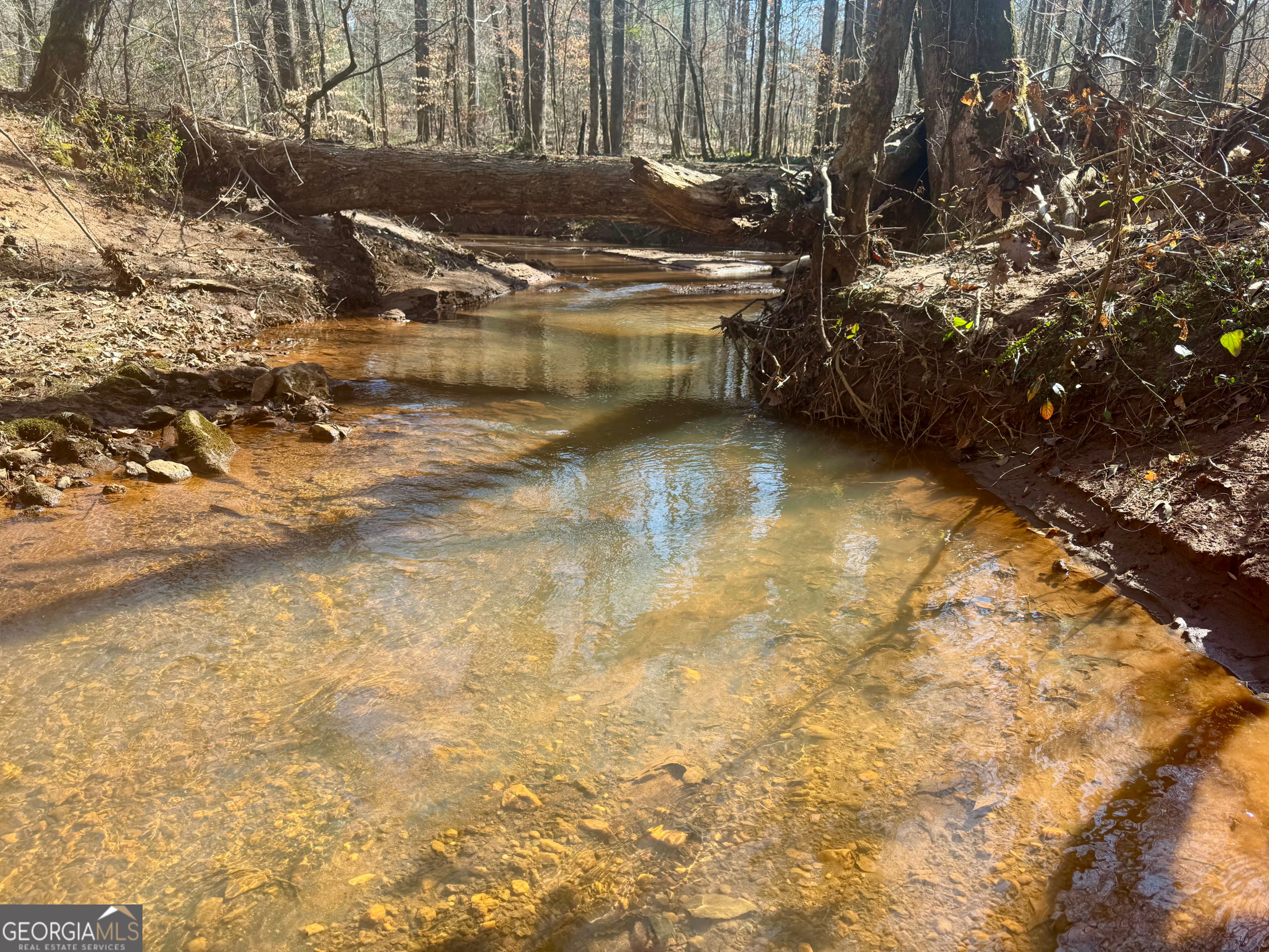 0 Triune Mill Road Property Photo