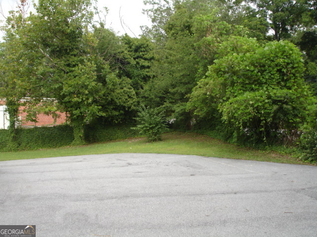 63 W Currahee Street Property Photo 3