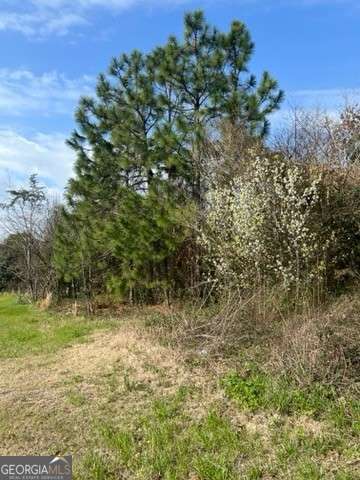 367 Pine Street Property Photo 3