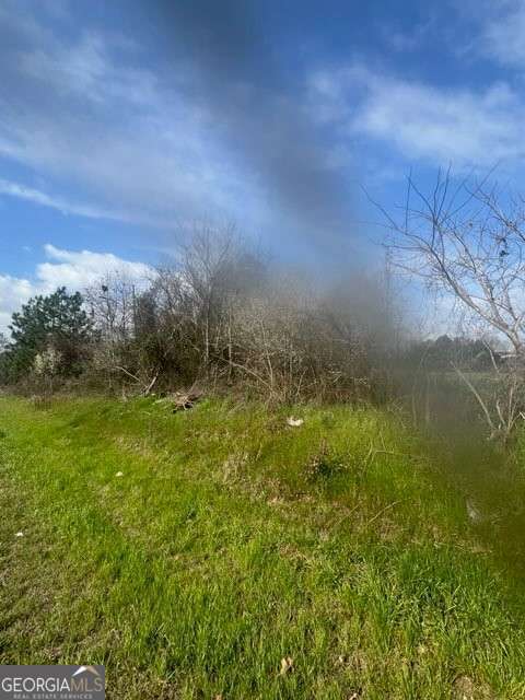 367 Pine Street Property Photo 5