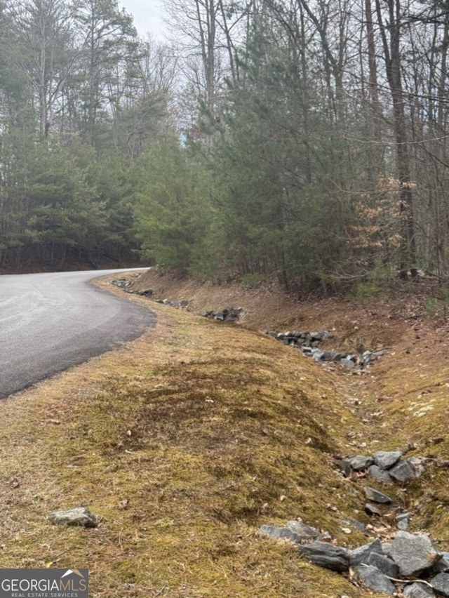 Lot 16r Leatherwood Mtn Property Photo
