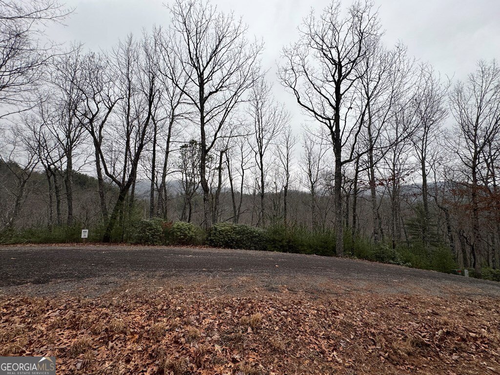 Lot 21 Whisper Ridge Court # 21 Property Photo 3