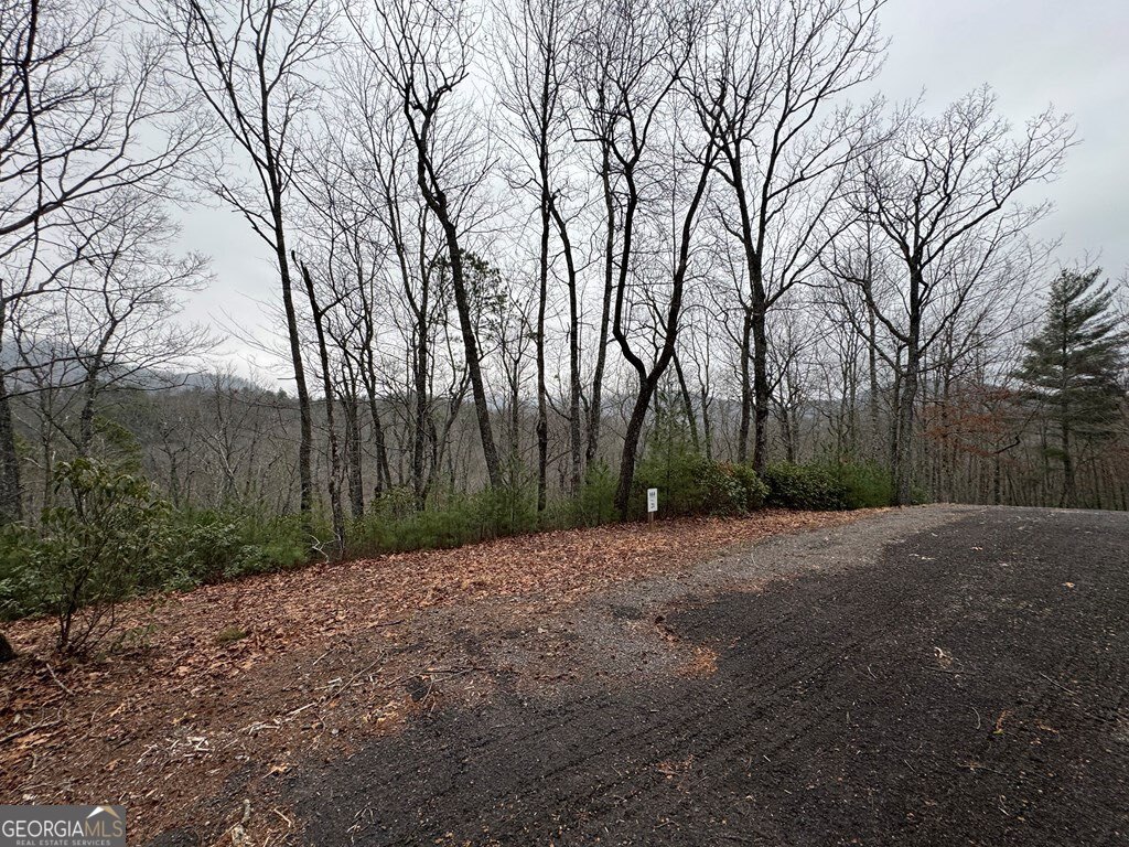 Lot 21 Whisper Ridge Court # 21 Property Photo 4