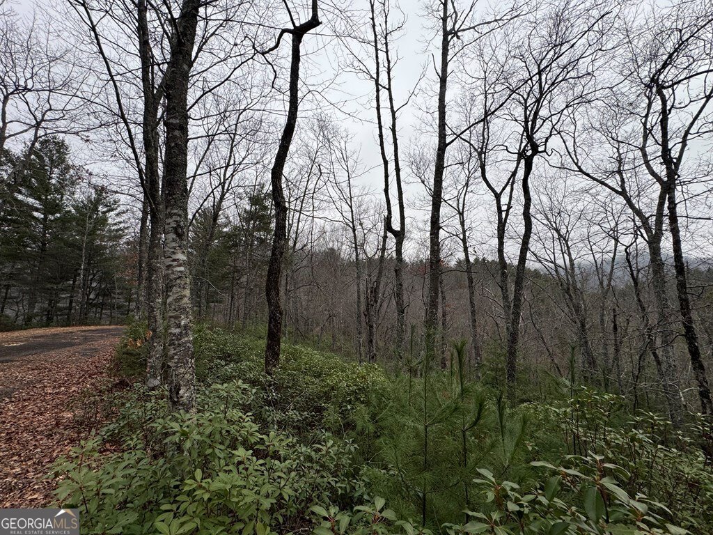 Lot 21 Whisper Ridge Court # 21 Property Photo 27