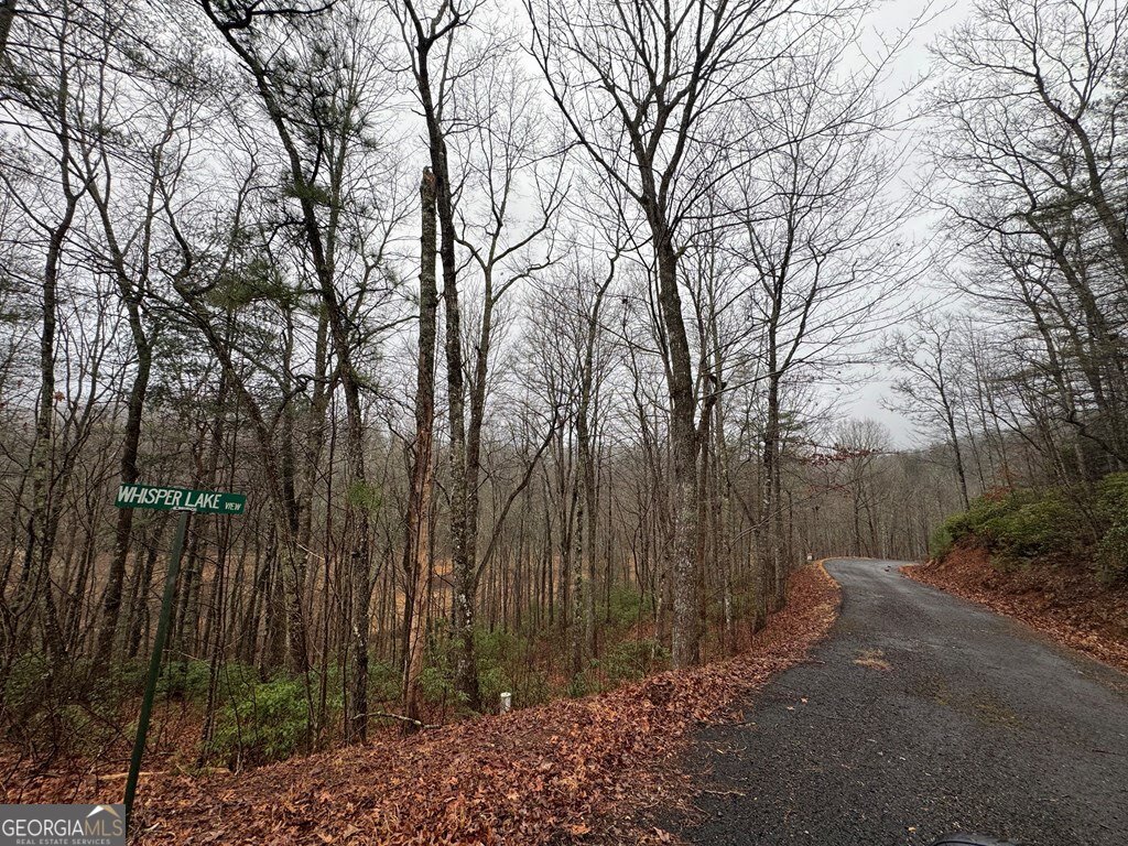 Lot 41 Whisper Woods Road # 41 Property Photo 4