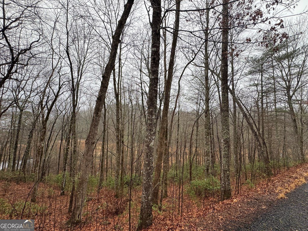 Lot 41 Whisper Woods Road # 41 Property Photo 5