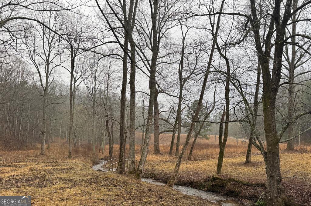 Lot 41 Whisper Woods Road # 41 Property Photo 10