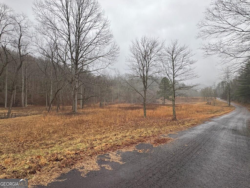 Lot 41 Whisper Woods Road # 41 Property Photo 11