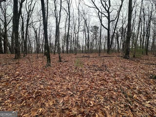 0 Northland Trail Property Photo