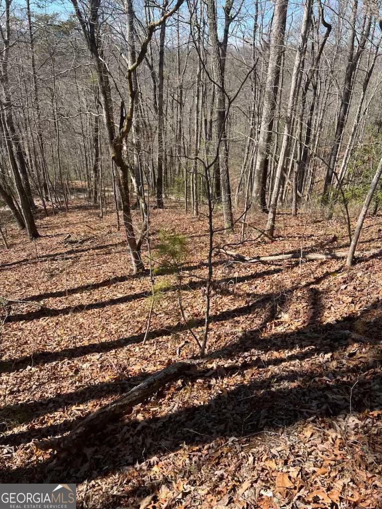00 Timberland Trail Property Photo