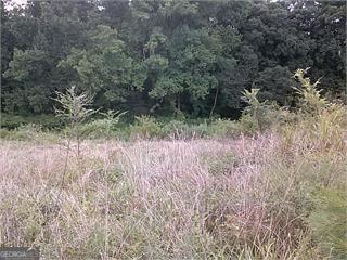 1506 S U Highway 441 S Property Photo 12