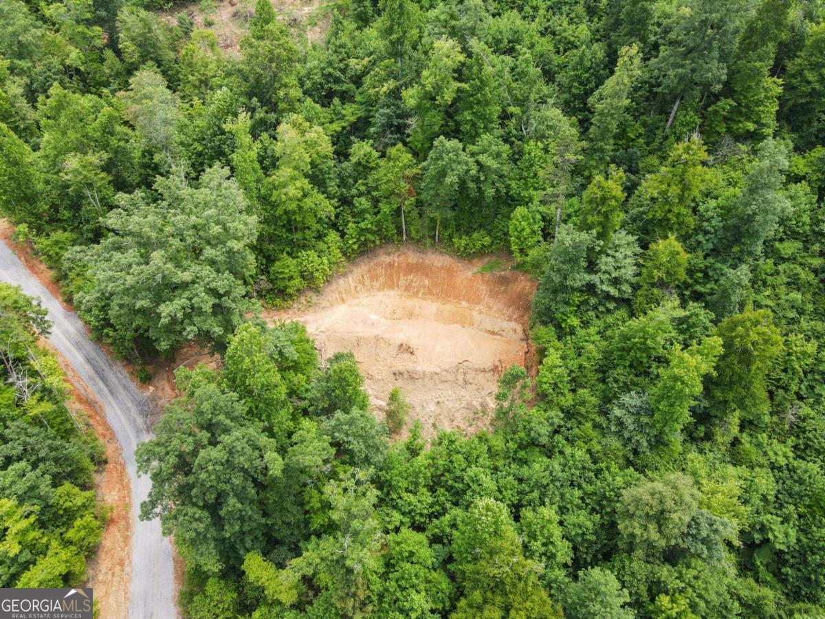 4.81 Acres Tom Wheeler Road Property Photo