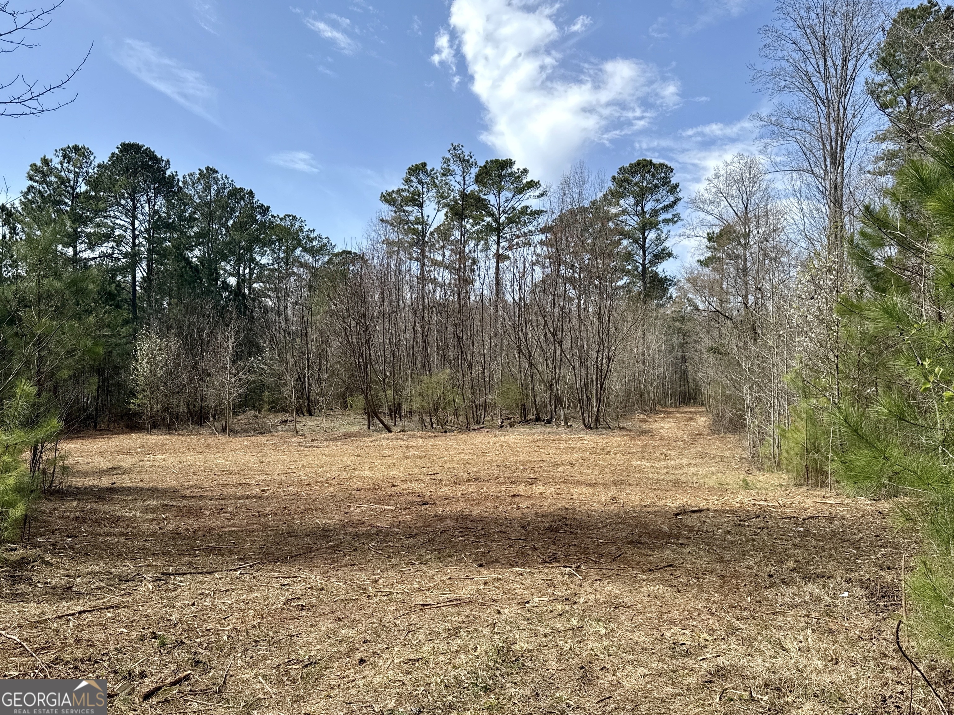 0 Inman Road - 29.5 Acres Property Photo
