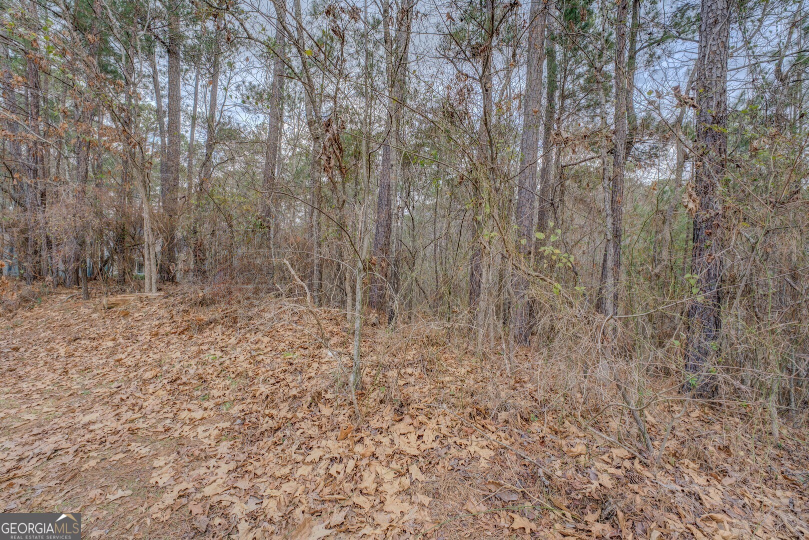 Lot 90 Goldeneye Court Property Photo