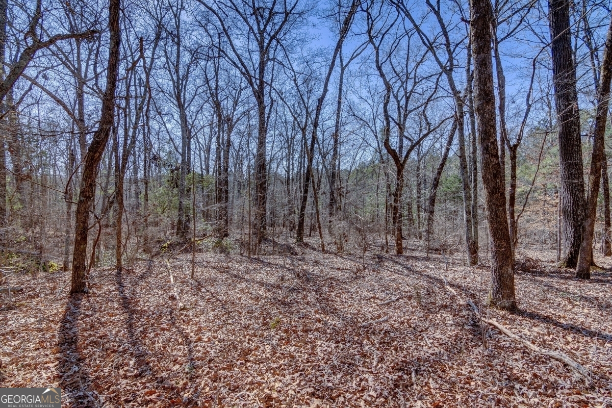 Lot 28 Benjamin Brown Court Property Photo 4