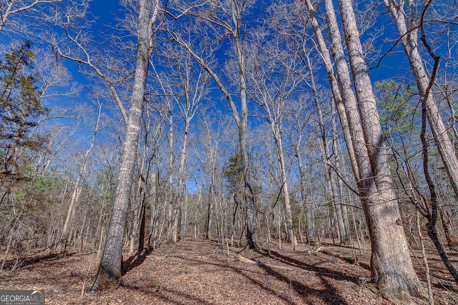 Lot 28 Benjamin Brown Court Property Photo 5