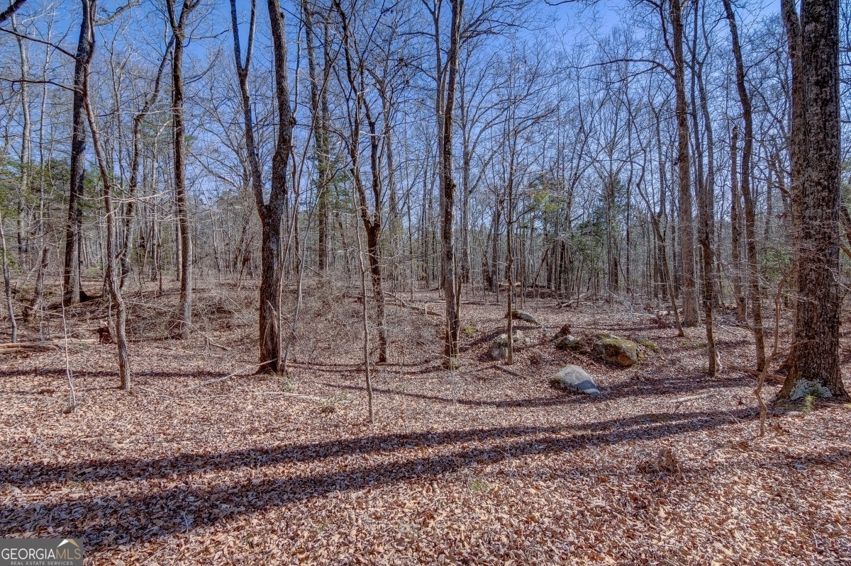 Lot 28 Benjamin Brown Court Property Photo 6