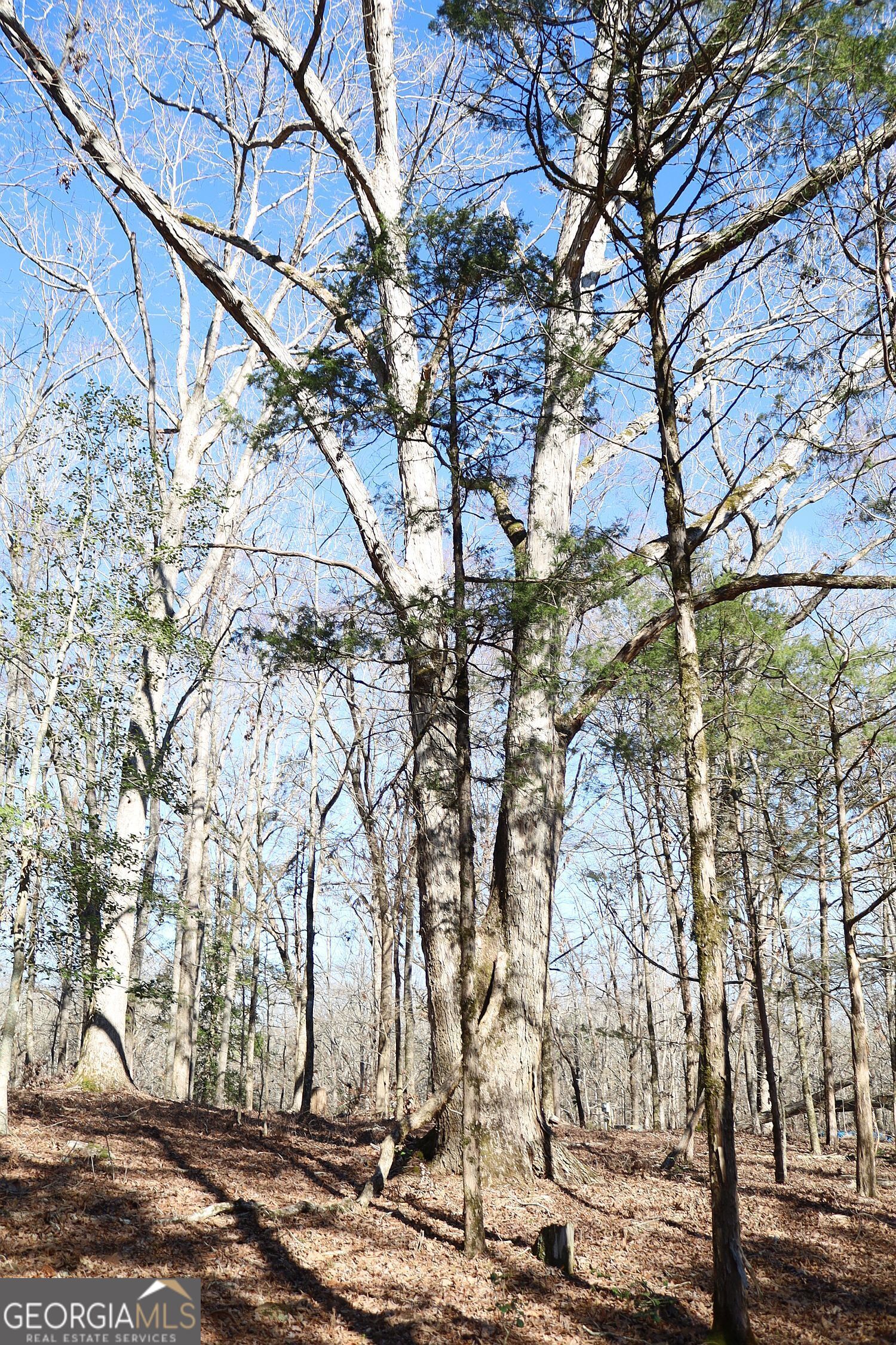 Lot 28 Benjamin Brown Court Property Photo 7