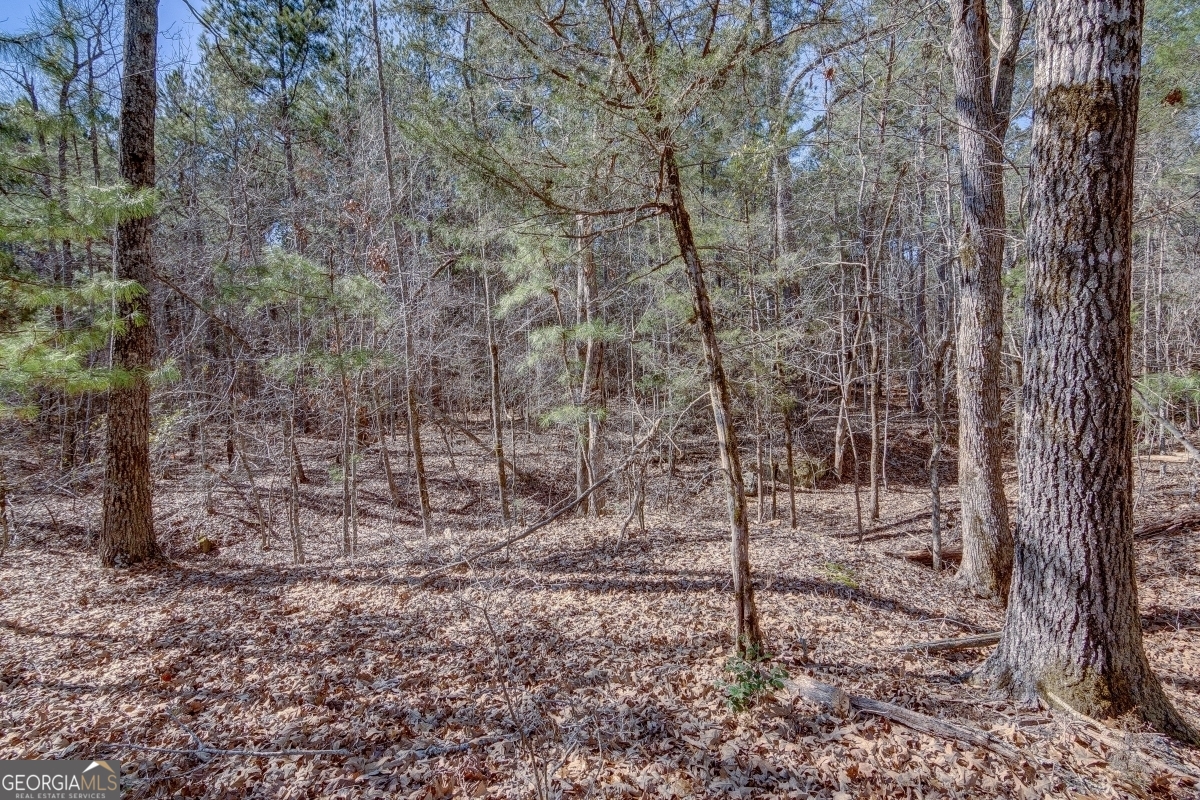 Lot 28 Benjamin Brown Court Property Photo 8