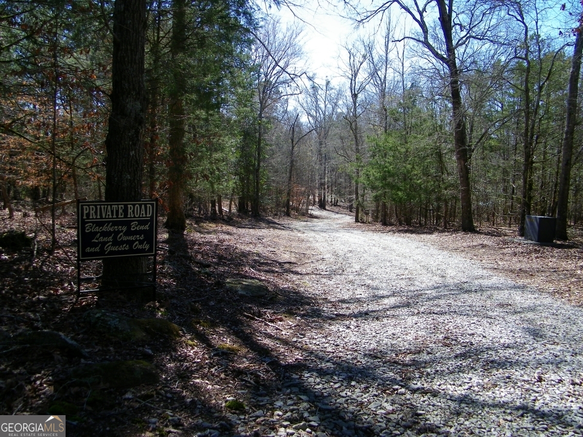 Lot 28 Benjamin Brown Court Property Photo 10