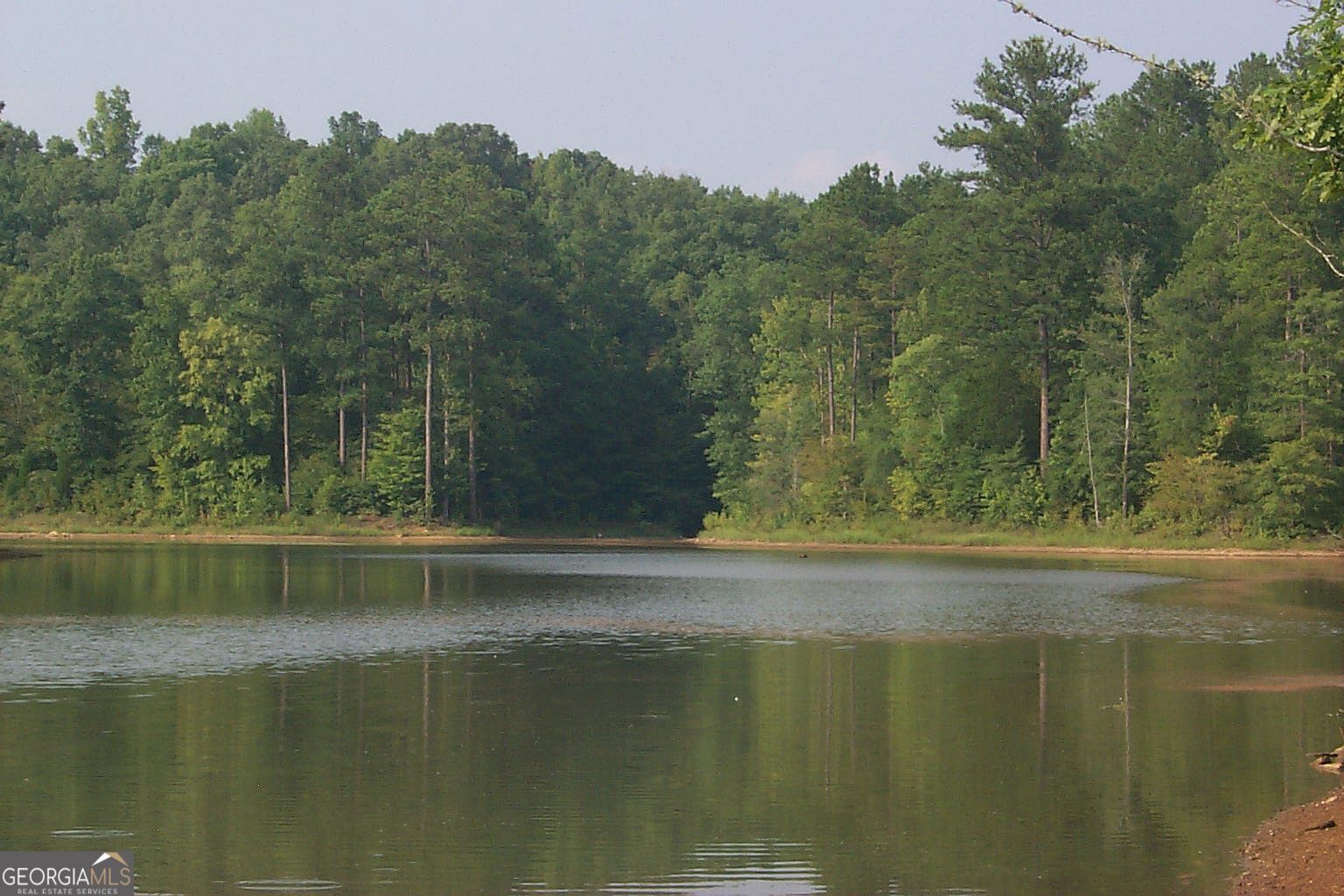 Lot 28 Benjamin Brown Court Property Photo 13