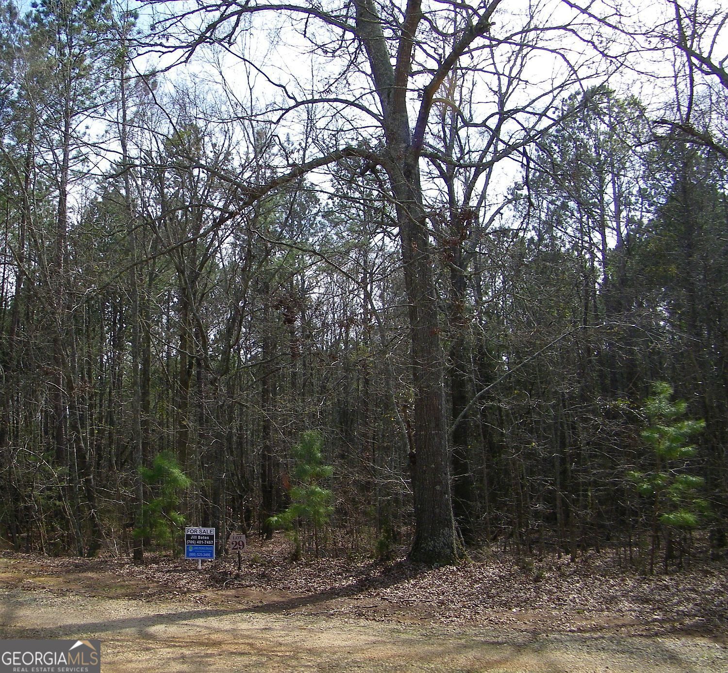 Lot 29 Benjamin Brown Ct Property Photo