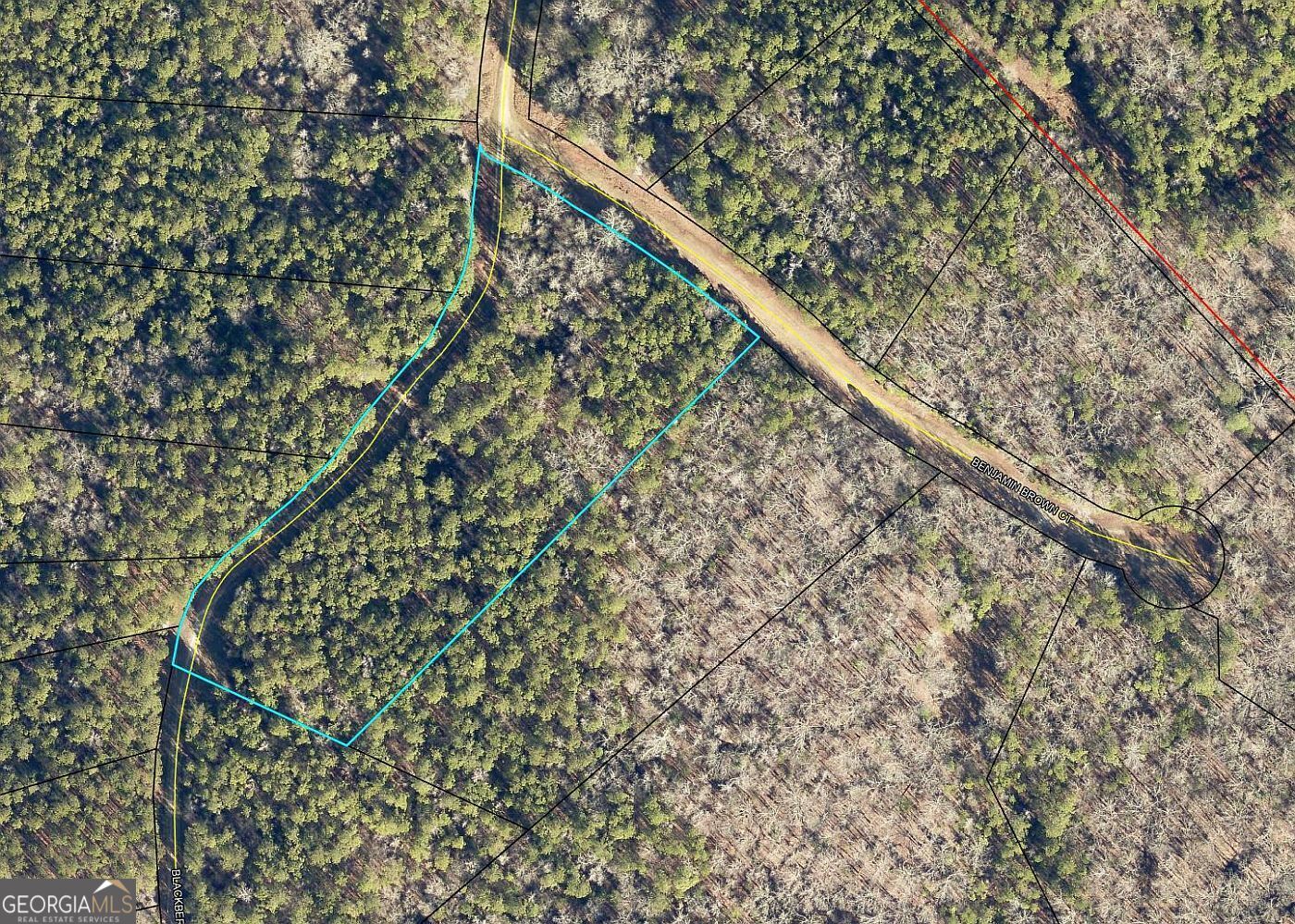 Lot 29 Benjamin Brown Court Property Photo 3