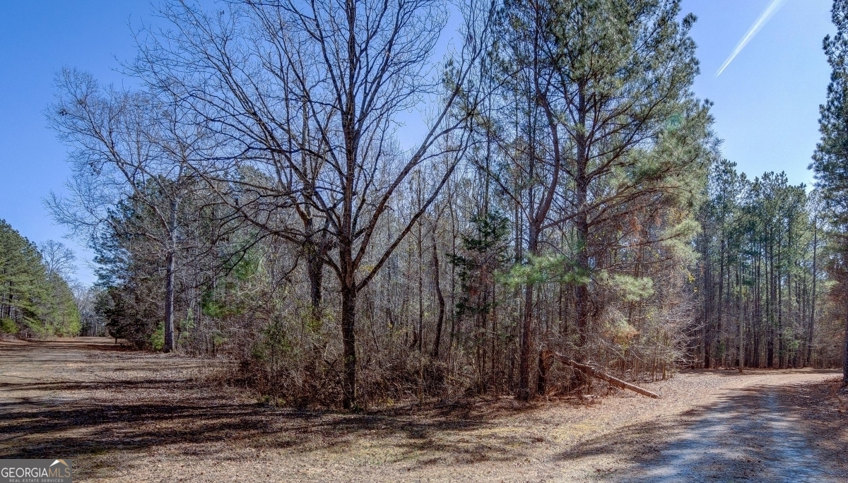 Lot 29 Benjamin Brown Court Property Photo 4