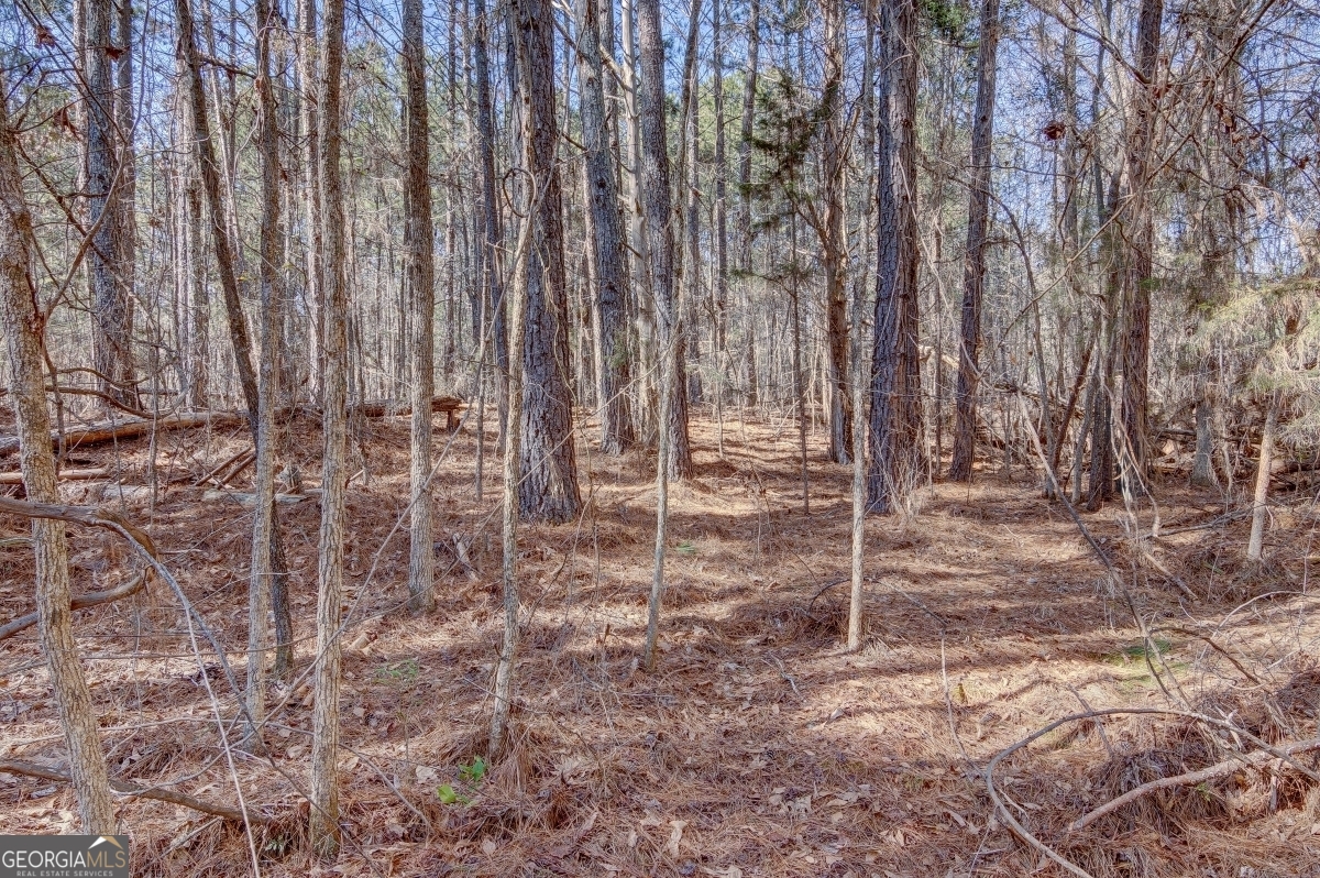 Lot 29 Benjamin Brown Court Property Photo 5