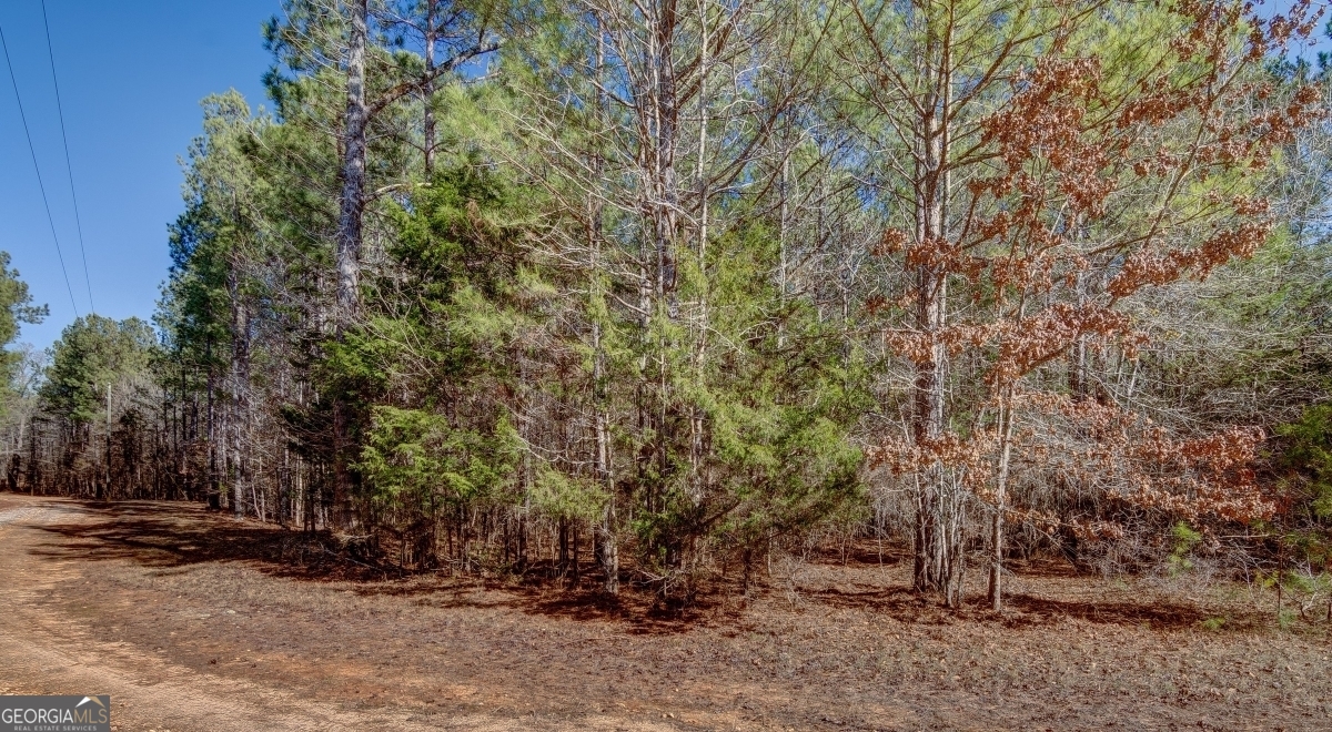 Lot 29 Benjamin Brown Court Property Photo 6