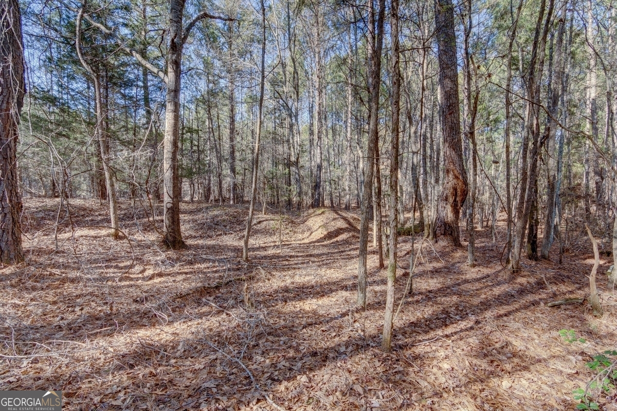 Lot 29 Benjamin Brown Court Property Photo 7