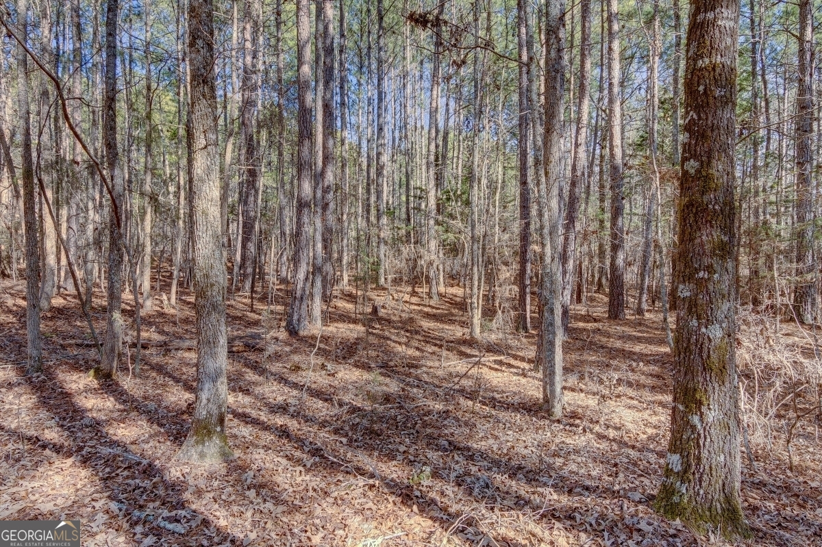 Lot 29 Benjamin Brown Court Property Photo 8