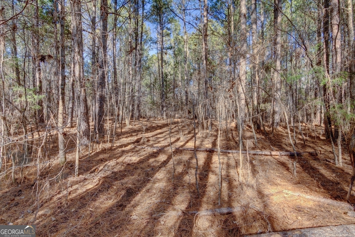 Lot 29 Benjamin Brown Court Property Photo 9
