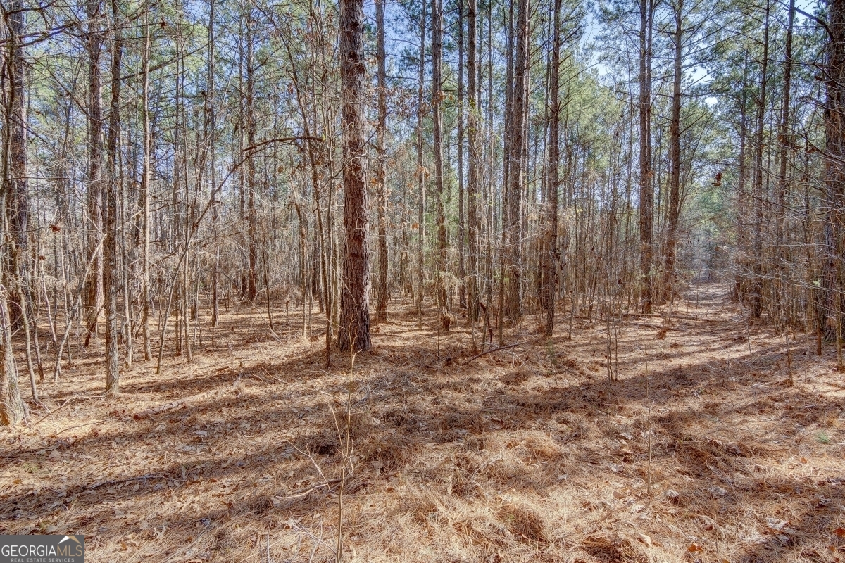 Lot 29 Benjamin Brown Court Property Photo 10