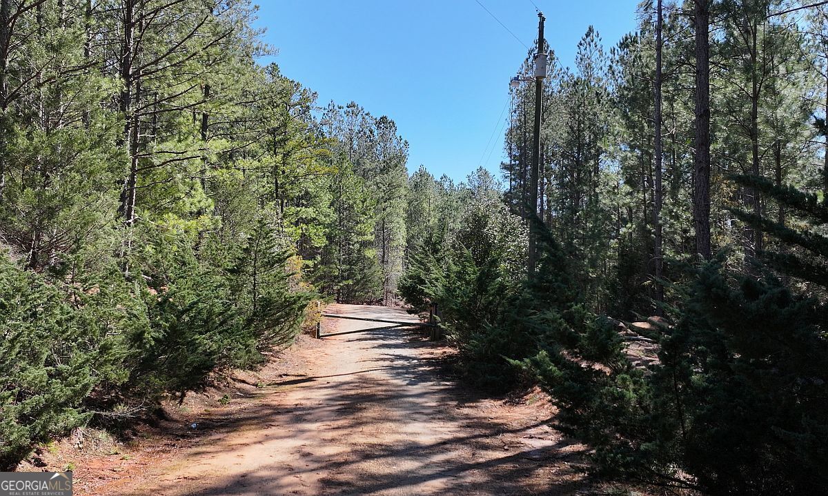 Lot 29 Benjamin Brown Court Property Photo 11