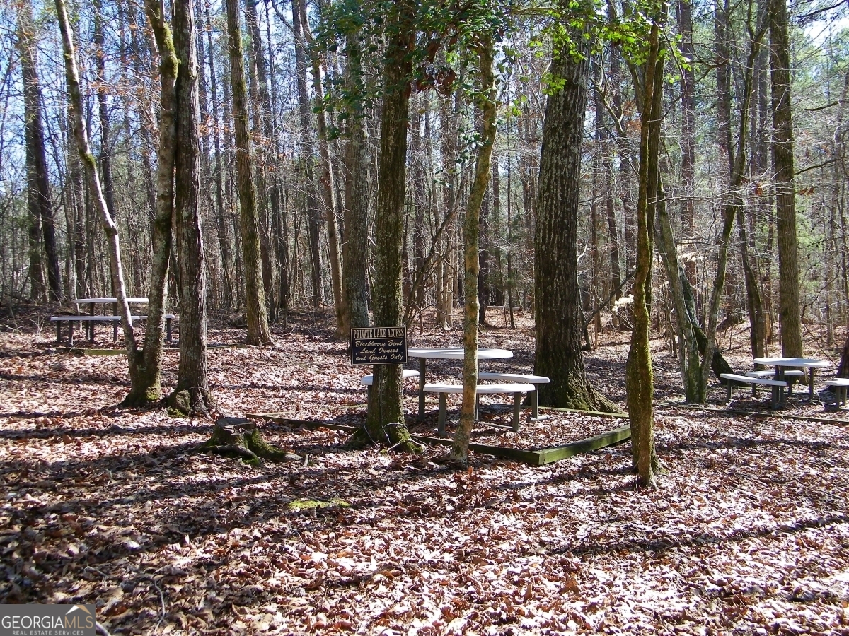 Lot 29 Benjamin Brown Court Property Photo 13