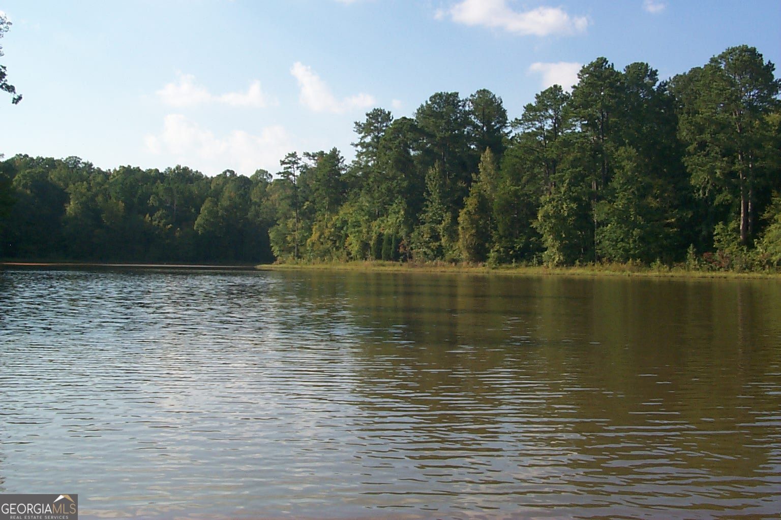 Lot 29 Benjamin Brown Court Property Photo 14