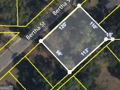 801 Bertha Street Property Photo