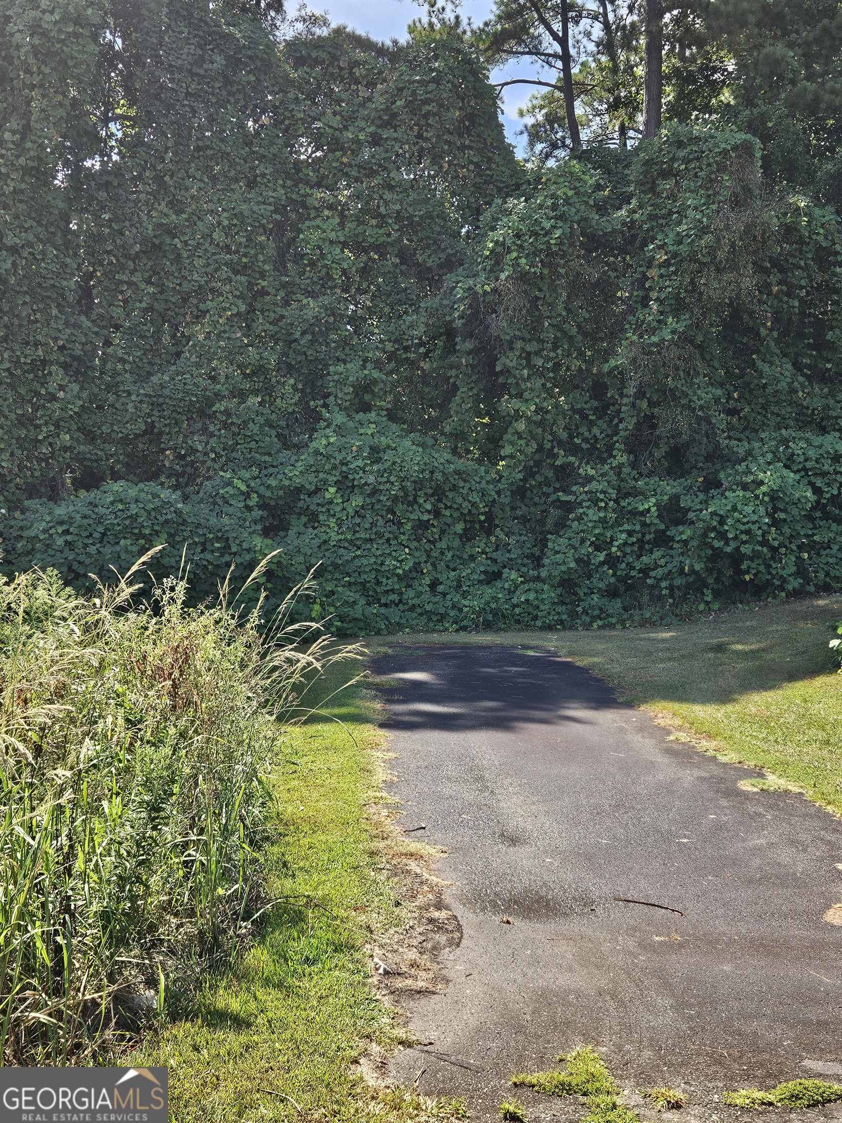 0 Pegasus Parkway Property Photo 2