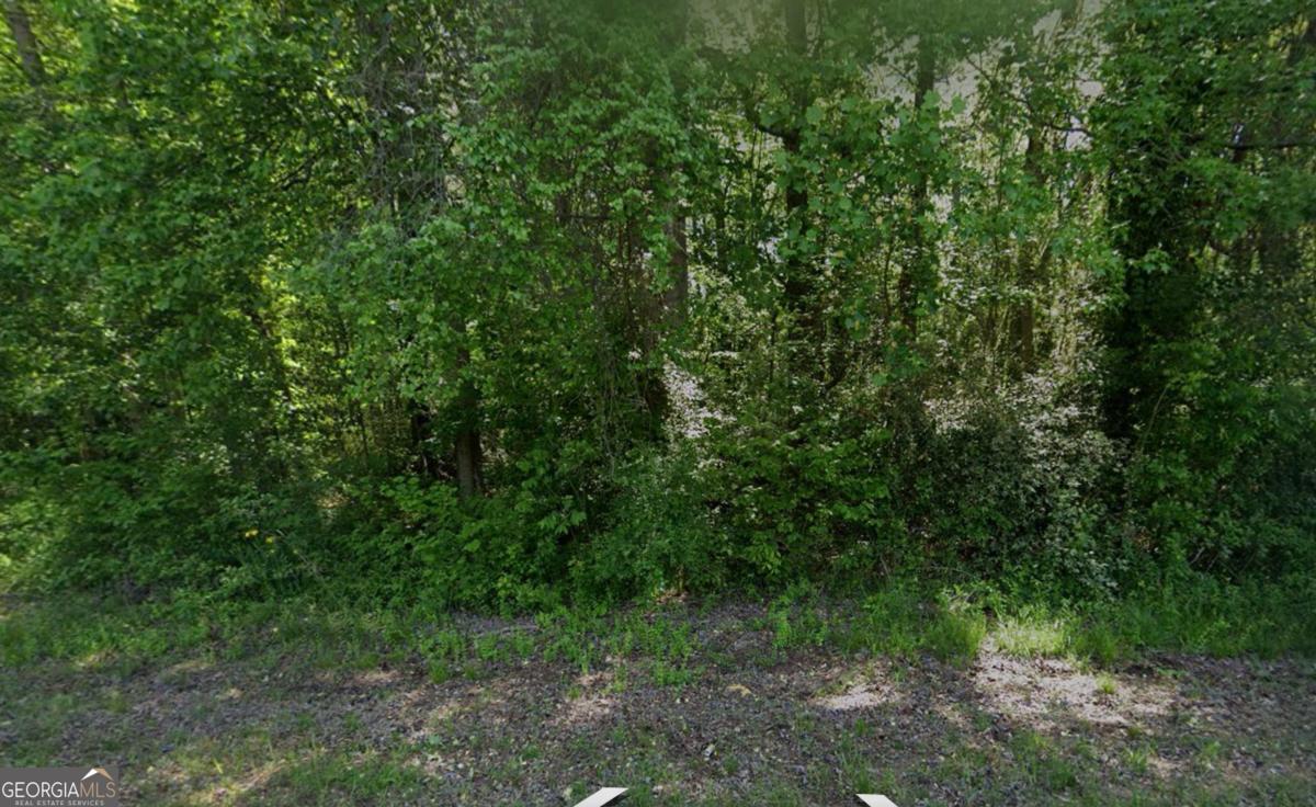 1374 Zebulon Road Property Photo
