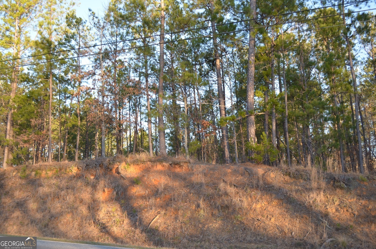 Lot A-1 Pate Road Property Photo