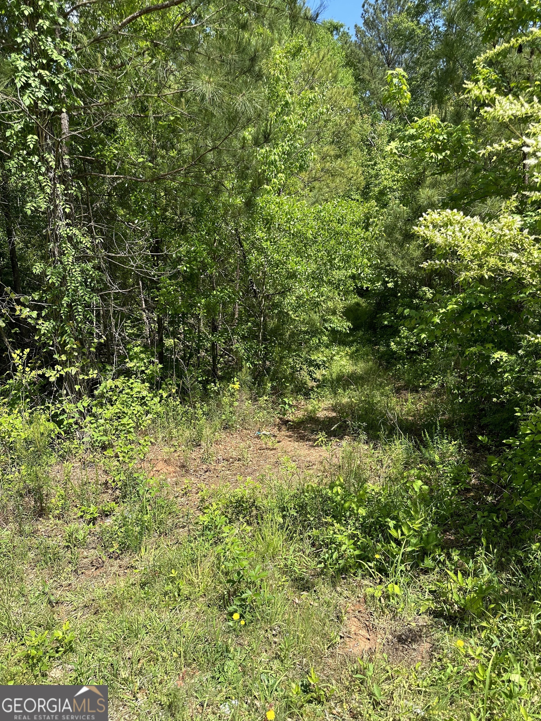 0 Rocky Mount Road Property Photo